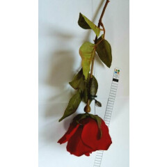 Red Rose Flower Cache Container for Geocaching comes with Log Book Free Shipping