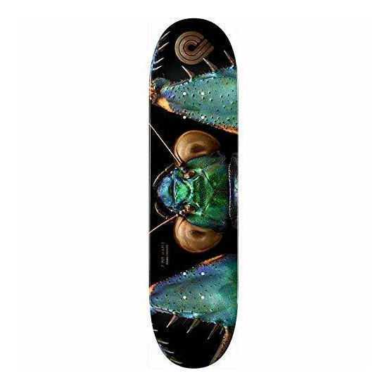 Powell-Peralta Skateboard Deck Biss image {1}