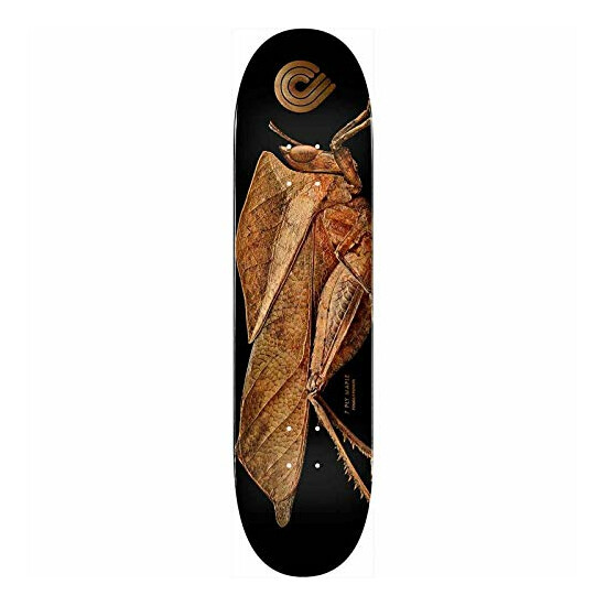 Powell-Peralta Skateboard Deck Biss image {4}