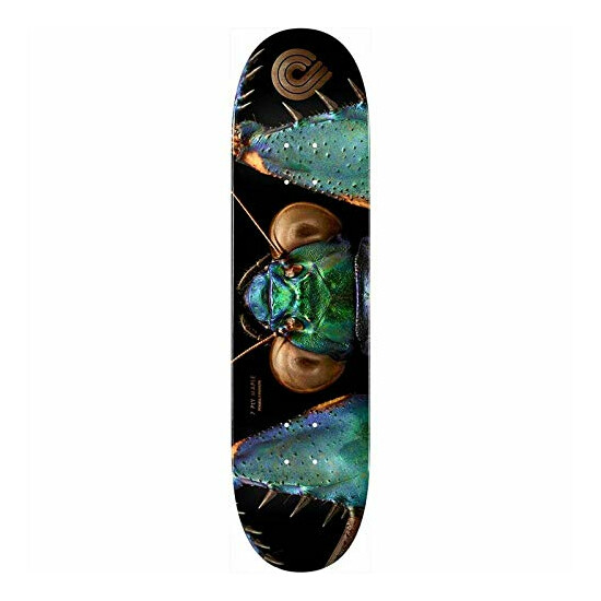 Powell-Peralta Skateboard Deck Biss image {5}